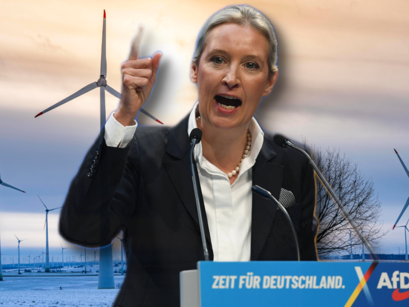 Weidel: Attacke auf Windenergie.