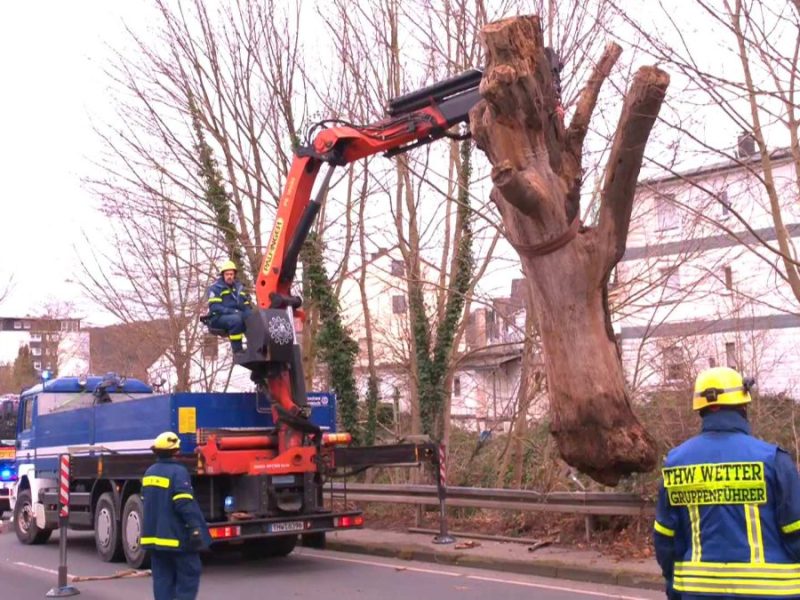 In Wetter auf der Ruhrstraße riss der Sturm am Neujahrsmorgen einen massiven Baum um. Feuerwehr und THW mussten ihn bergen, die angrenzende Bahnlinie blieb dafür gesperrt.