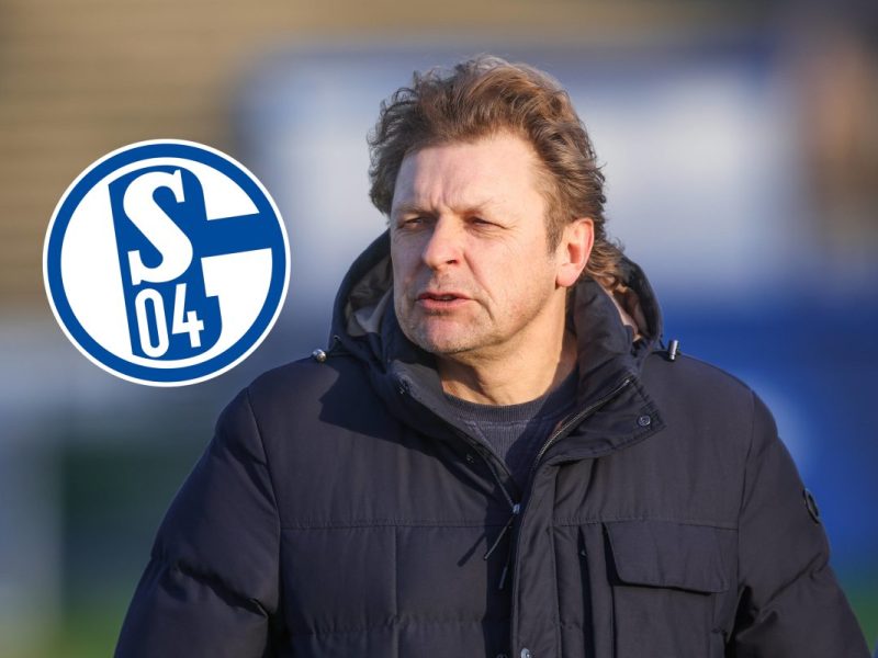 FC Schalke 04: Youri Mulder